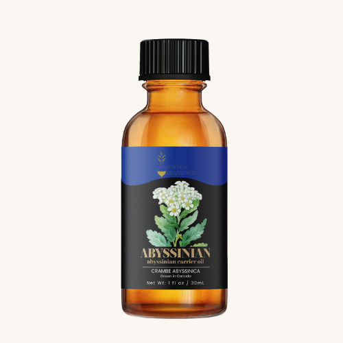 Abyssinian Oil